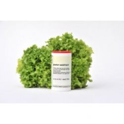 plocher salatfrisch